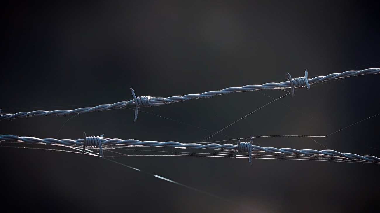 Tips dan Trik untuk Menghindari Kesalahan saat Mengajukan Visa Bintan